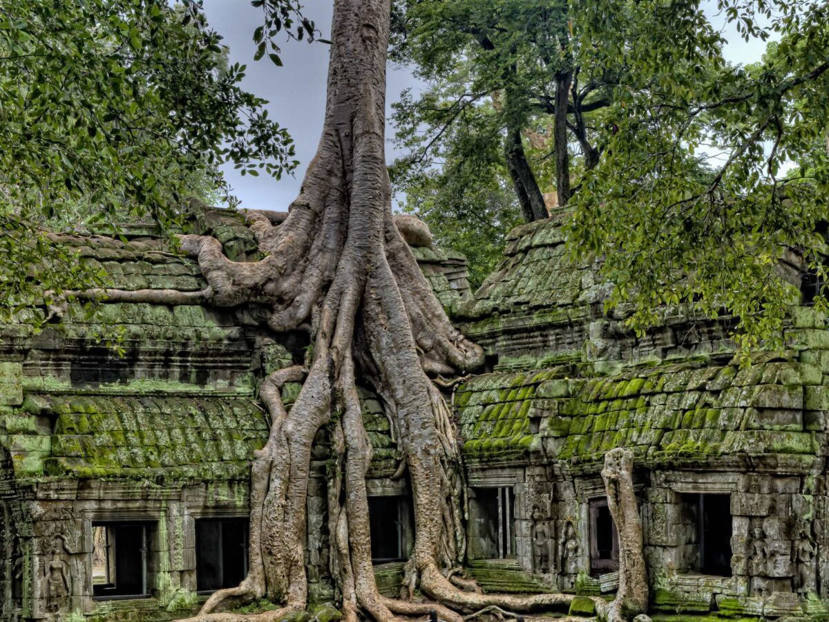 Voyage au Cambodge à Angkor Vat et ses temples en pierre dans la forêt